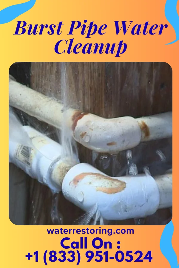 Burst Pipe Water Cleanup in Clearfield, IA