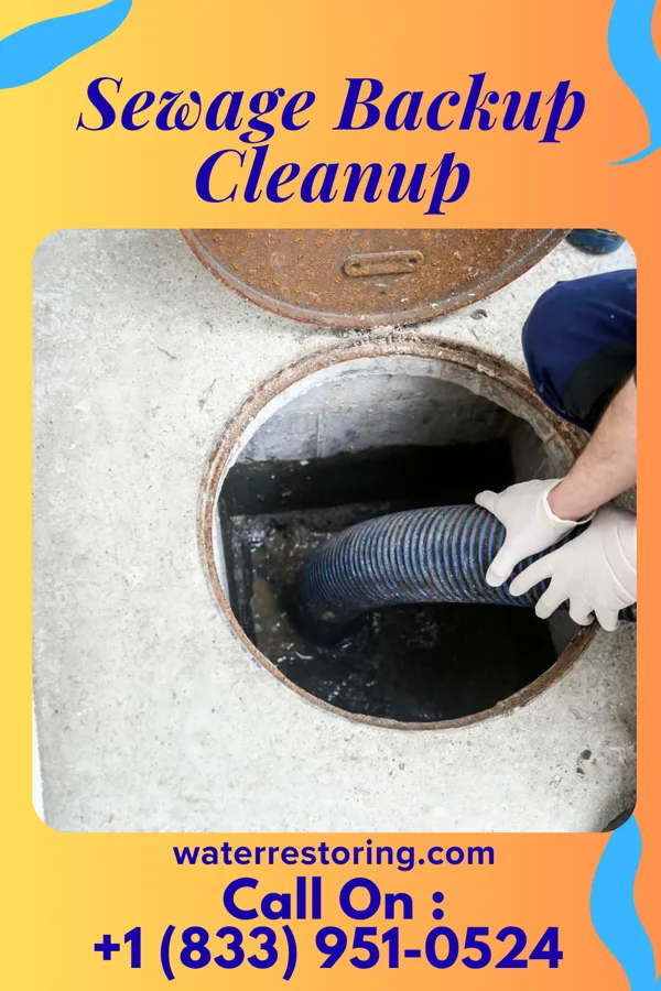 Sewage Backup Cleanup in Clearfield, IA