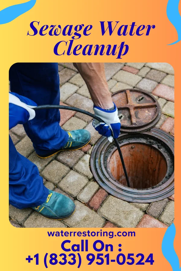 Sewage Water Cleanup in Clearfield, IA