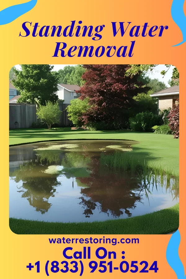 Standing Water Removal in Clearfield, IA